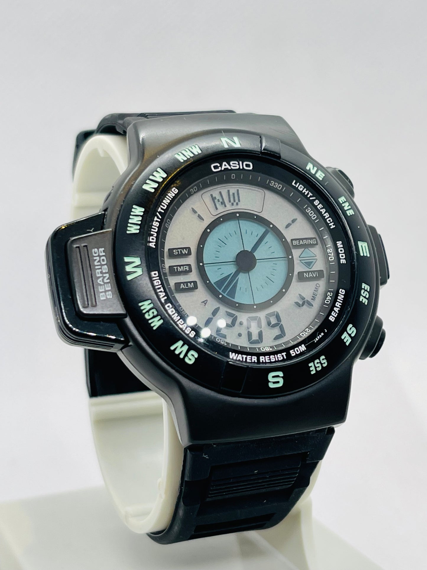 Casio CPW-100